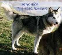 MACHKA — Carnet des adoptions AMCF