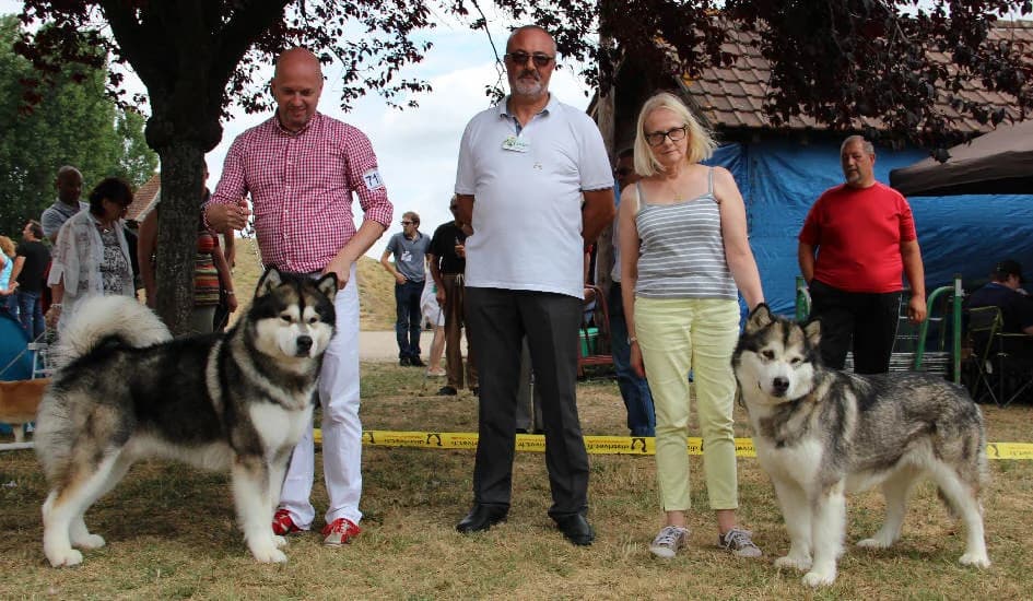 CACS Chalette sur Loing 2015-07-19
