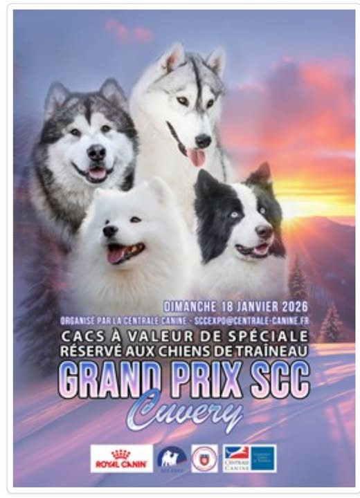 Affiche Grand Prix SCC 2026 — Cuvery